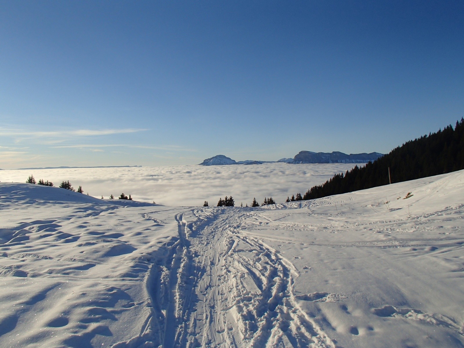 #9 Il faut bien rentrer... Il faut bien rentrer...