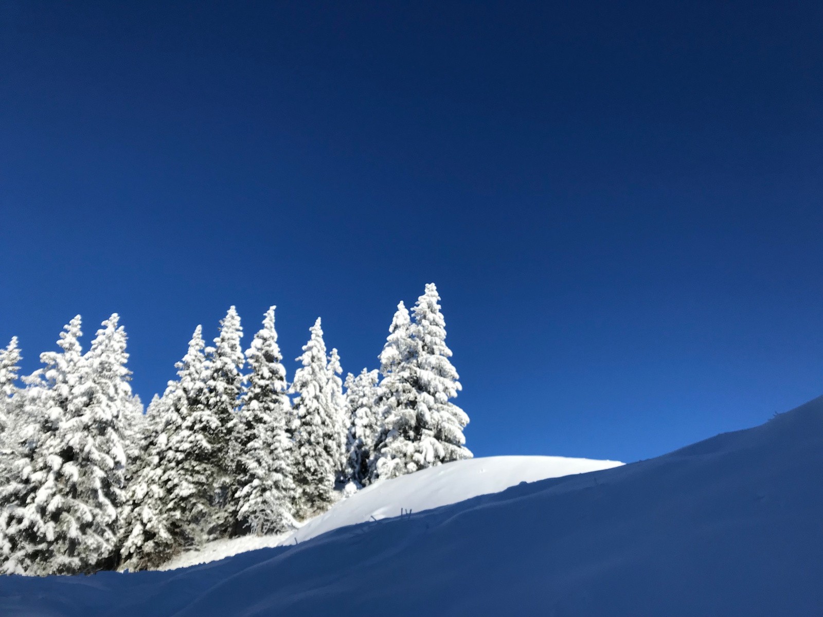 #4 Arrivé sur la crête finale: le soleil n Arrivé sur la crête finale: le soleil n'est plus loin...