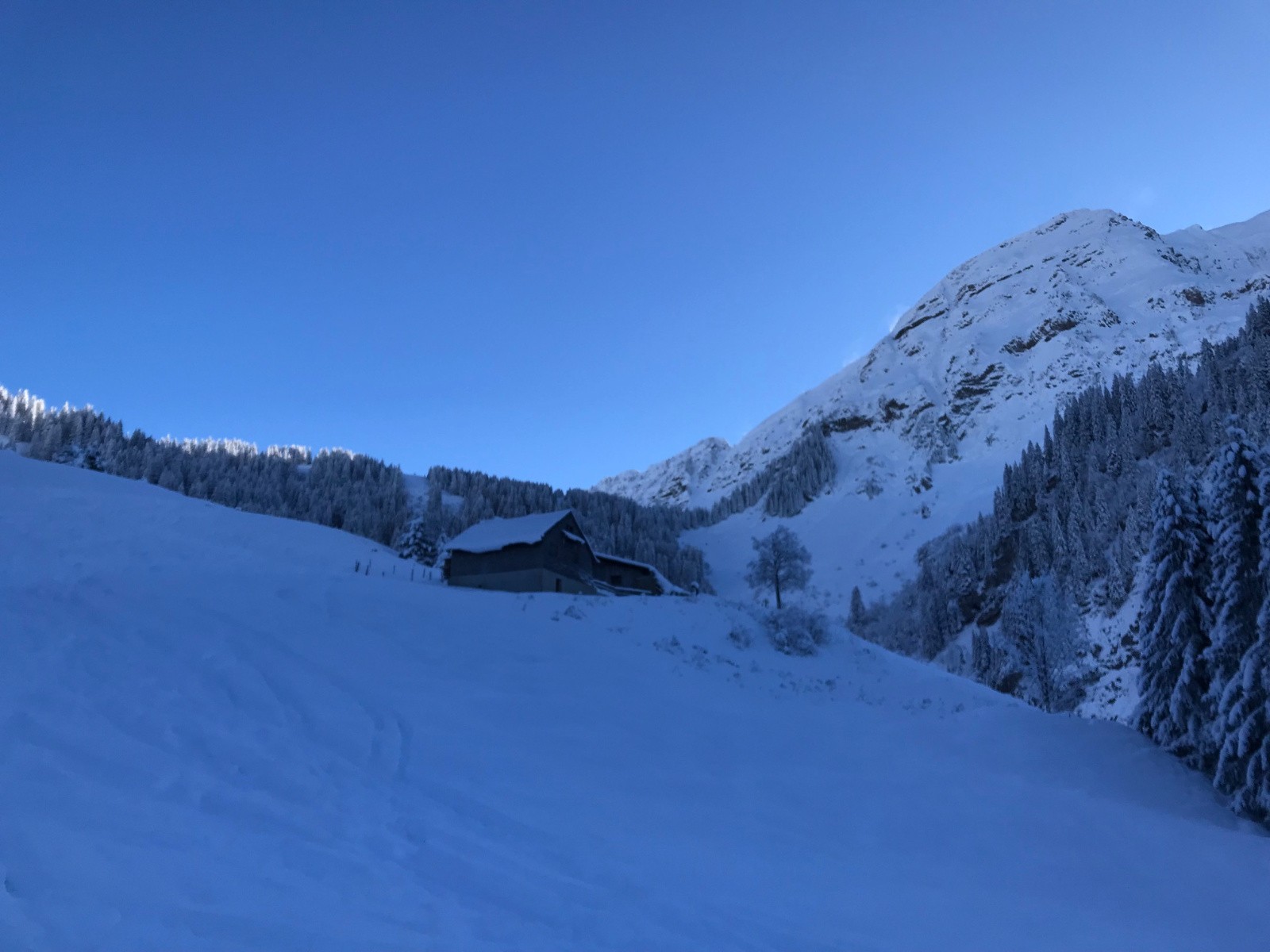 #2 Grand souvroz Grand souvroz