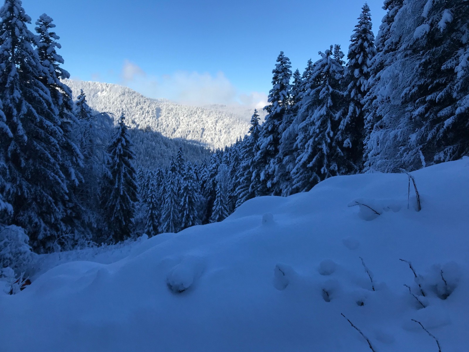 #3 montée sur Graydon montée sur Graydon