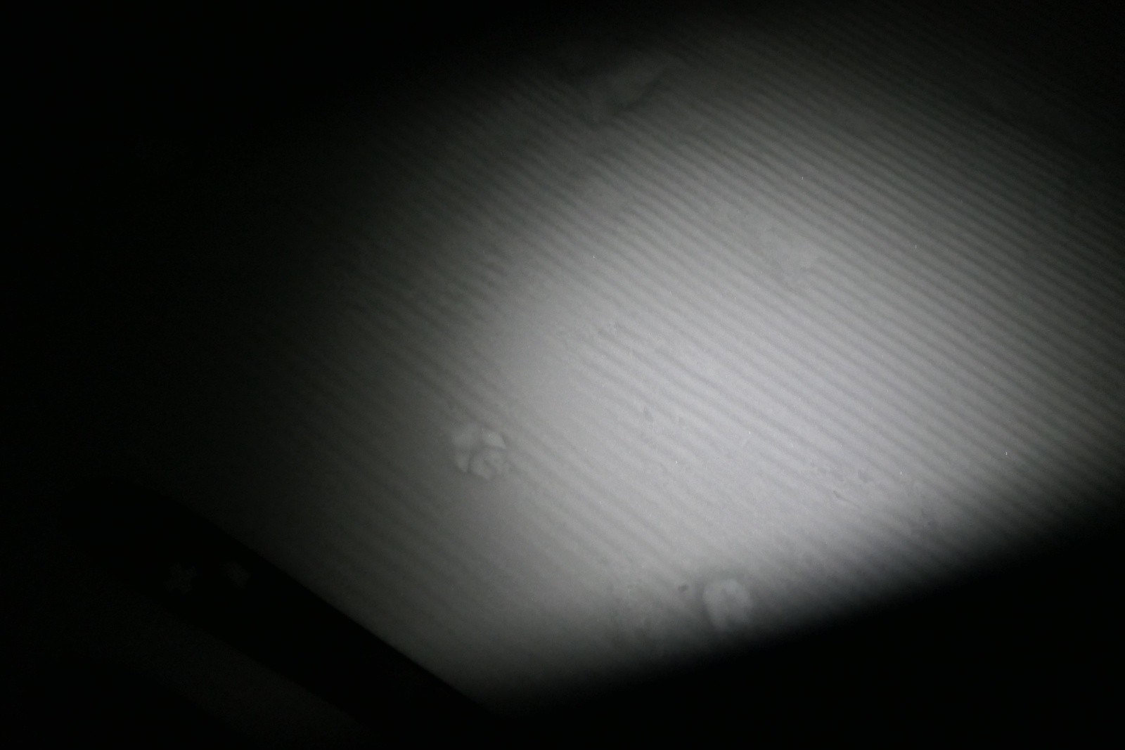 #2 Quel est cet animal ? Quel est cet animal ?