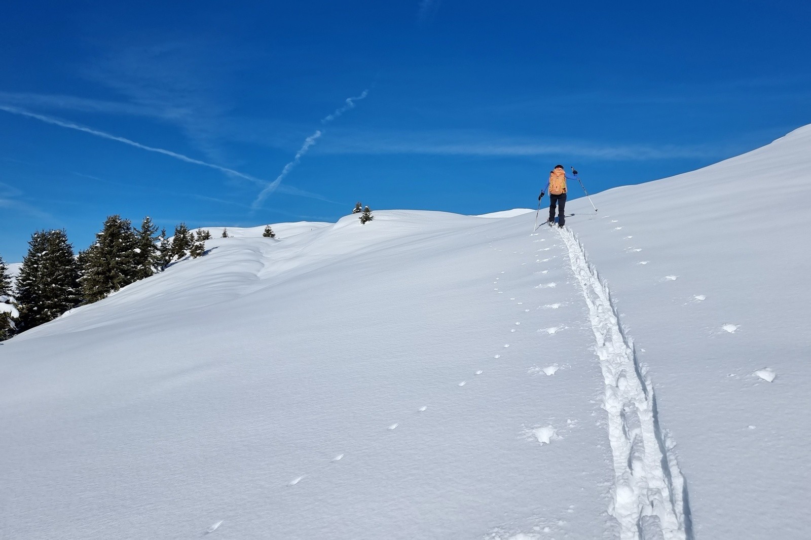 &nbsp;Les pentes ouest du Mont Challier, vierges de trace humaine.&nbsp;
