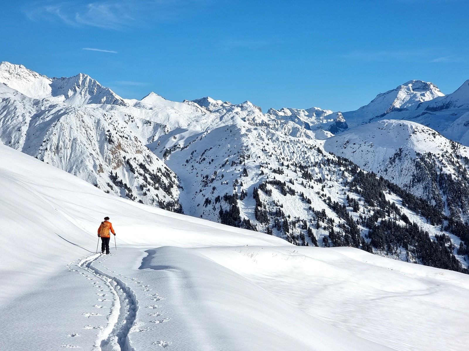 Traçage ... à la descente aussi !&nbsp;