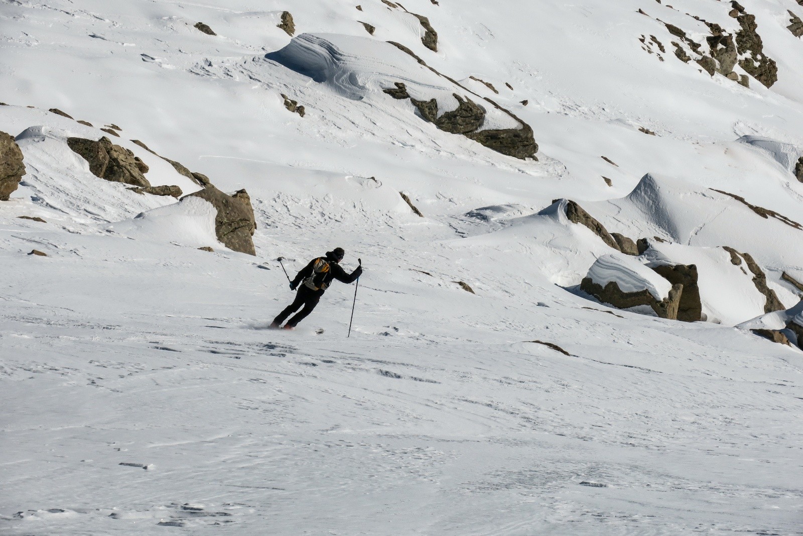 Genepy à l'oeuvre&nbsp;