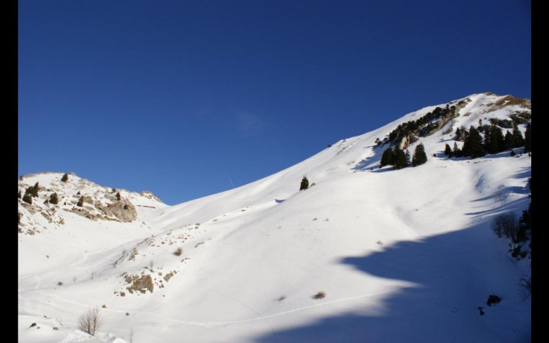 Mont Colombier : Pente W sommitale