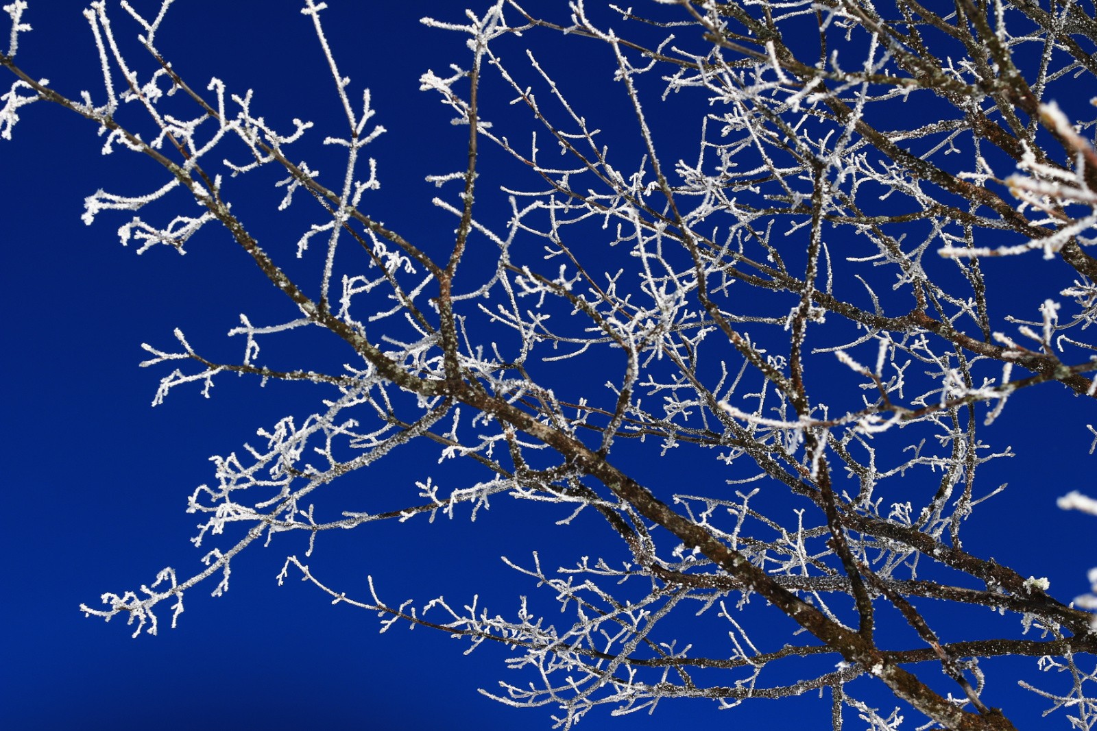 #5 représentation de l représentation de l'éphémère