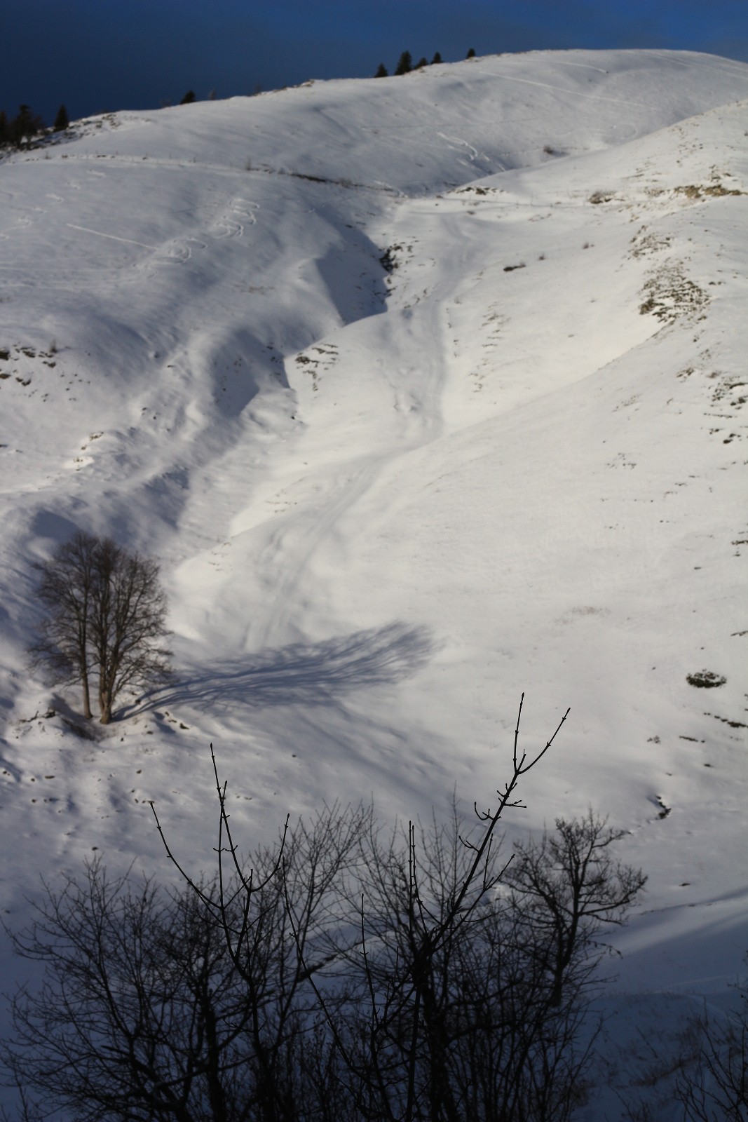#21 vue sur la descente vers la source captée vue sur la descente vers la source captée