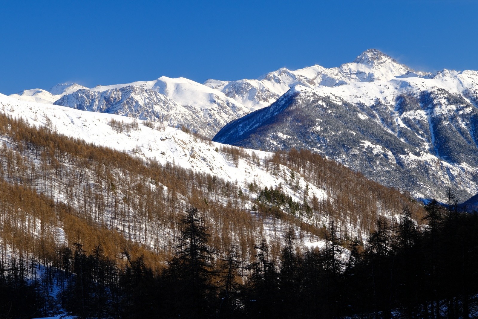 Vue sur le Pic de Rochebrune