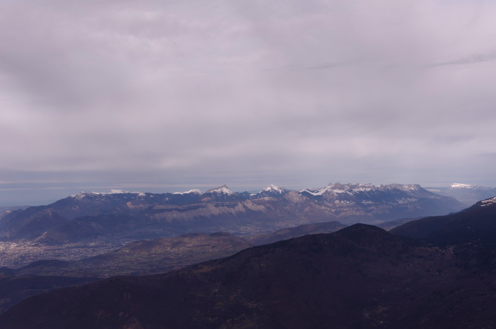 &nbsp;Chartreuse Orientale&nbsp;