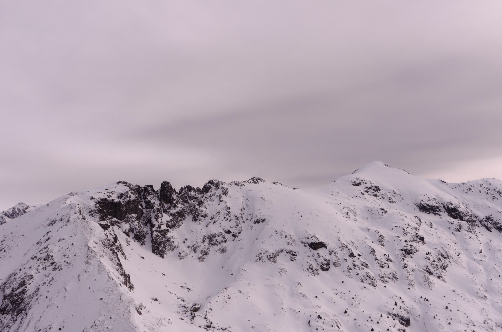 &nbsp;Oreille du loup et Tabor