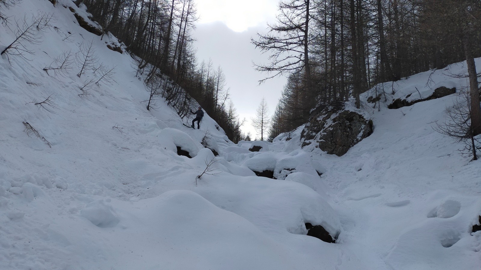 &nbsp;Rémi à l'aise dans le broder cross&nbsp;