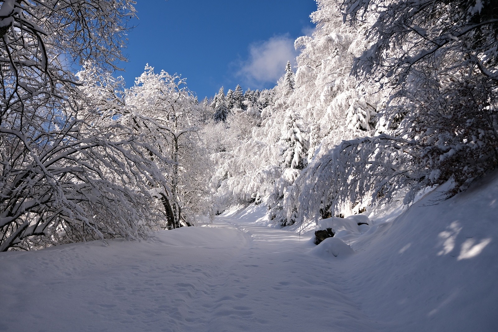 Quel plaisir de redécouvrir de réels paysages hivernaux, à l'allure de carte postale !   