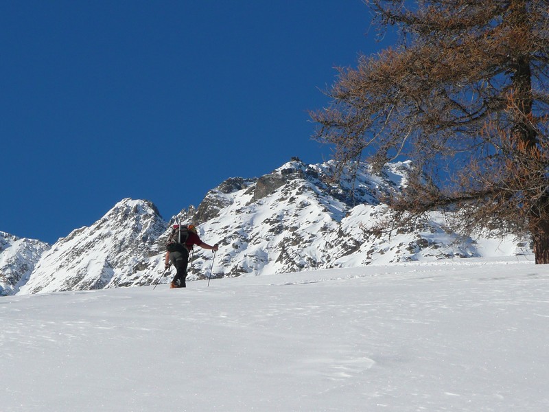 Pointe Charlet : Montée au soleil en rive gauche du vallon du Gd Tabuc.