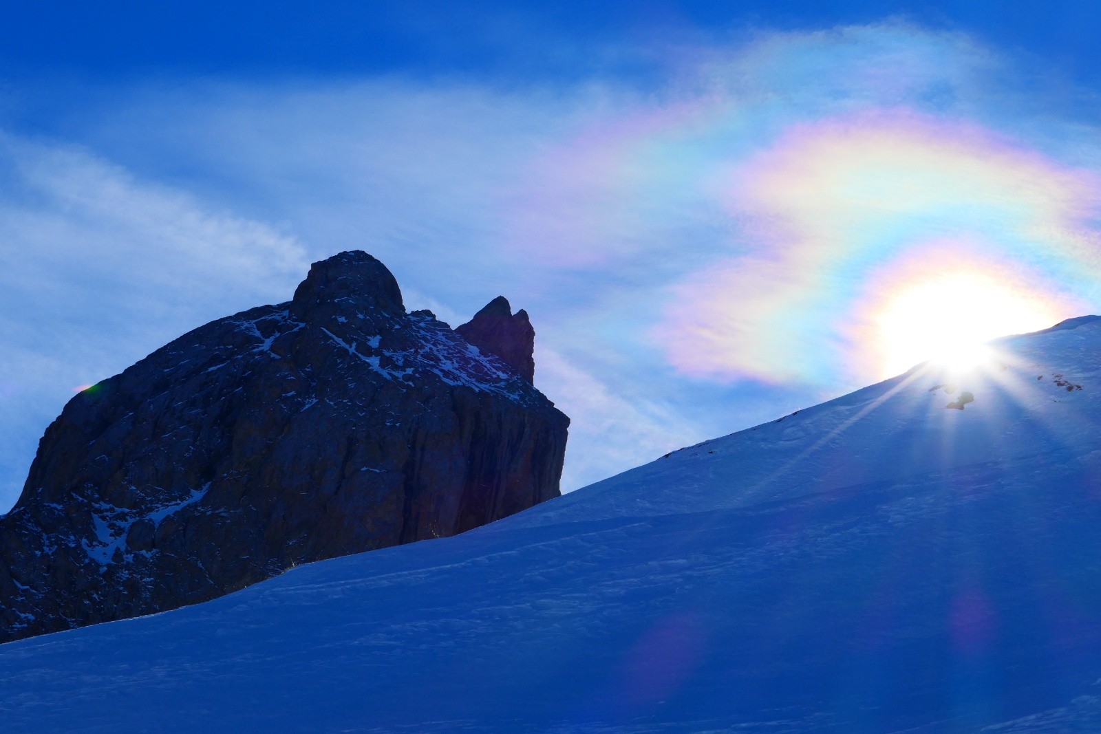 &nbsp;Chat à l'affût...