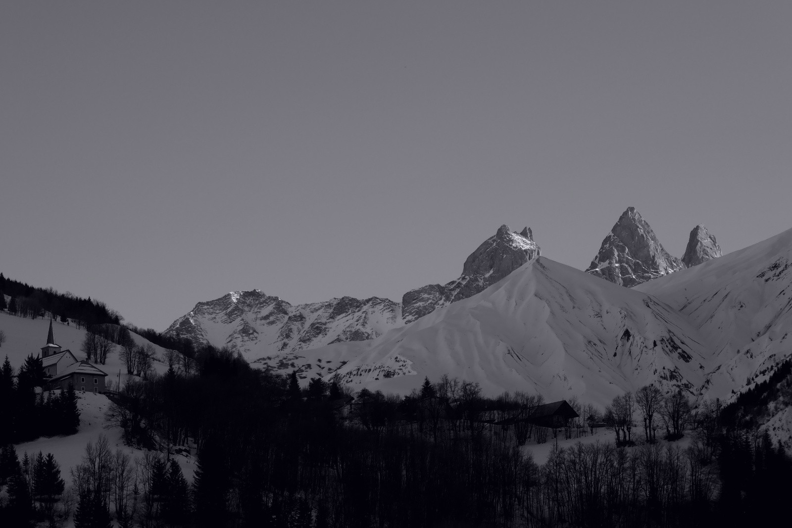 &nbsp;Magnifique bambée du jour!