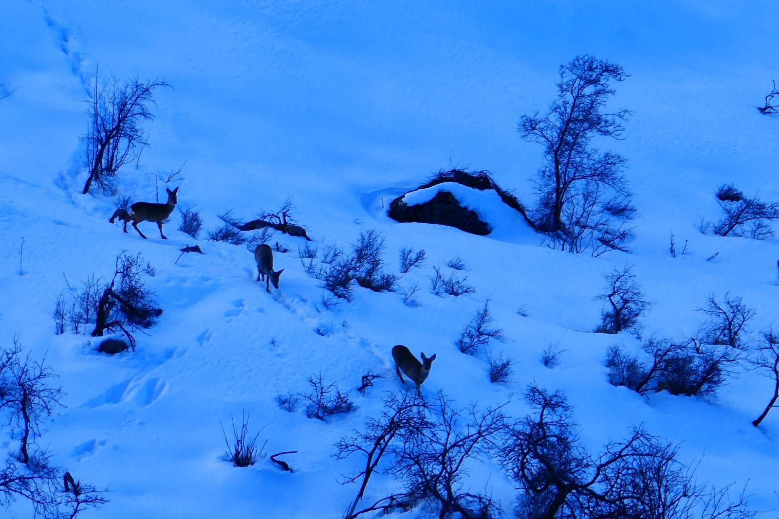 &nbsp;On est repèré...