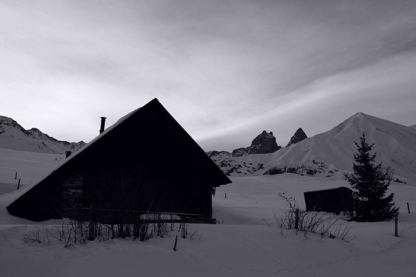 &nbsp;Habert local...