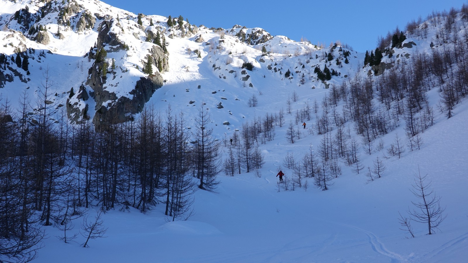Quelques filons de poudreuse dense