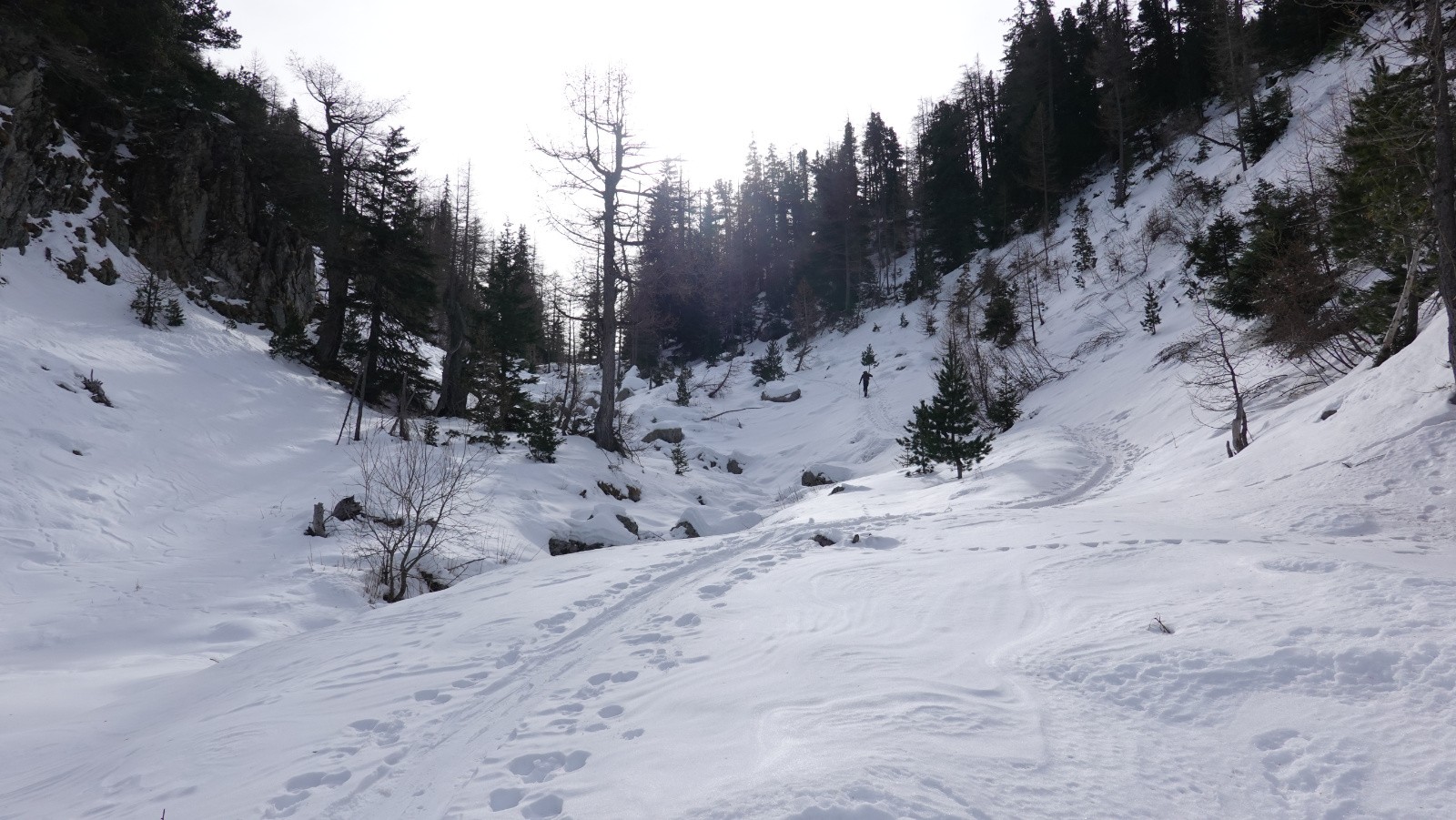 Dans le vallon de Prals