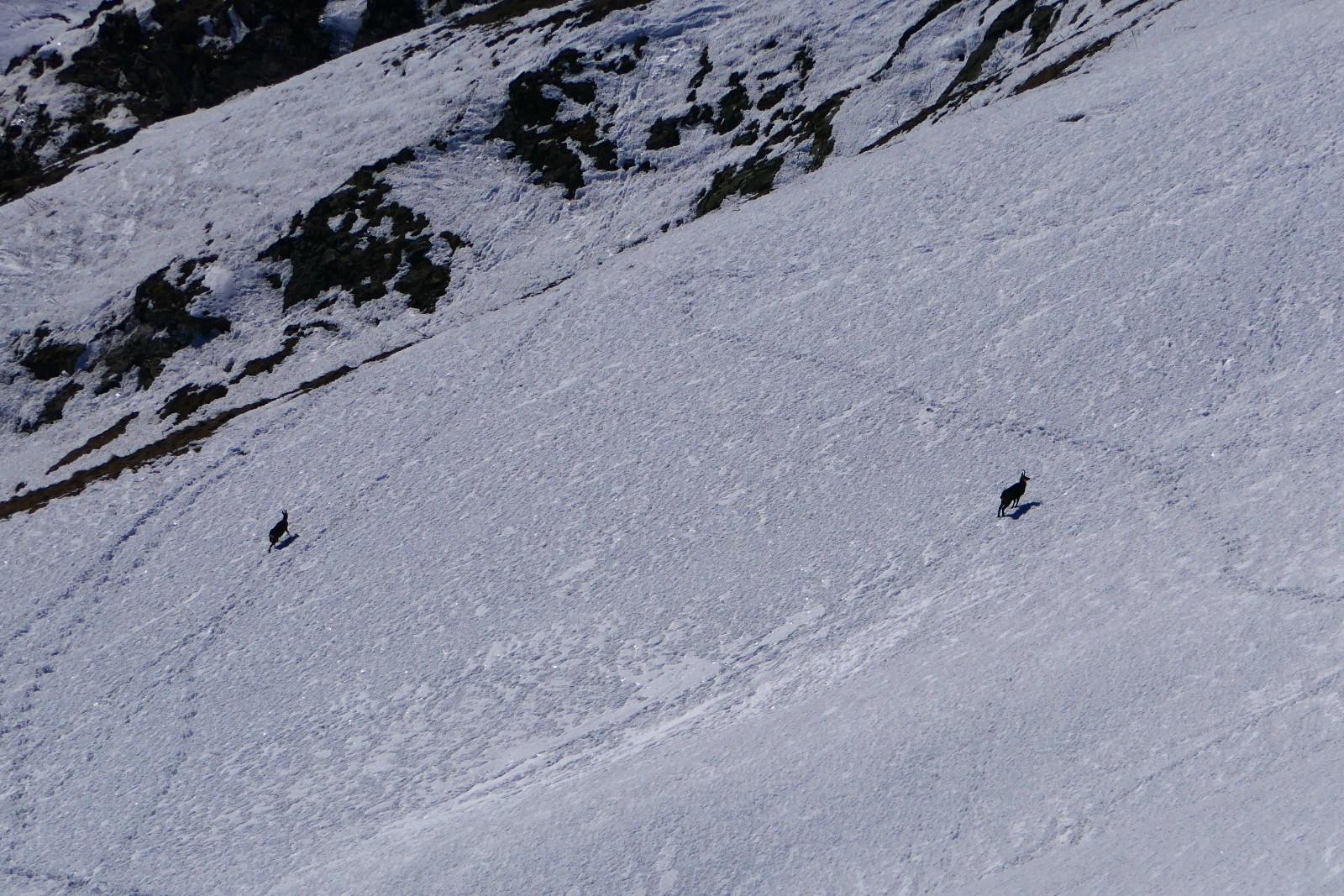 Même pas peur de la pente...