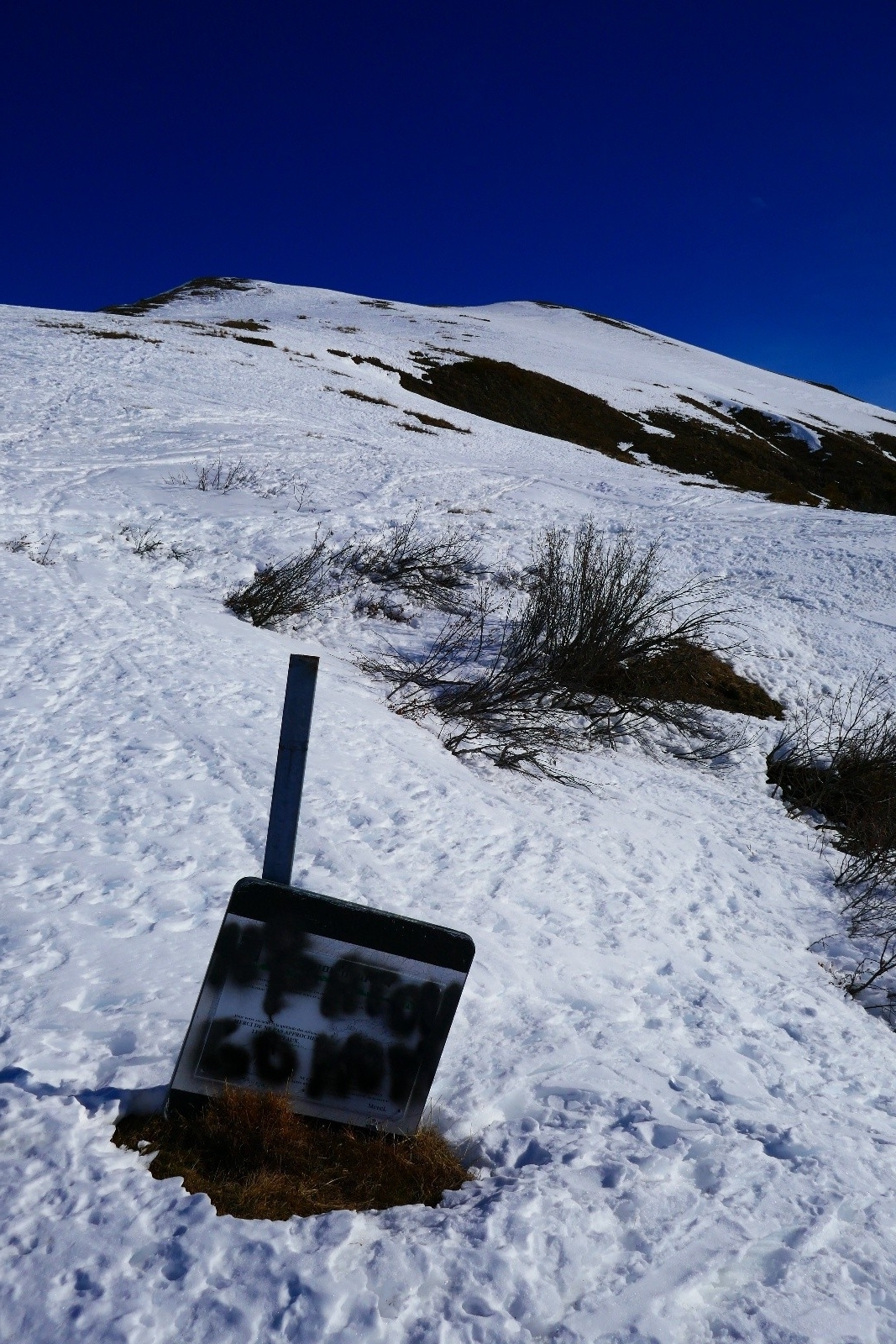 Y'en a un qui n'aime pas le patou...