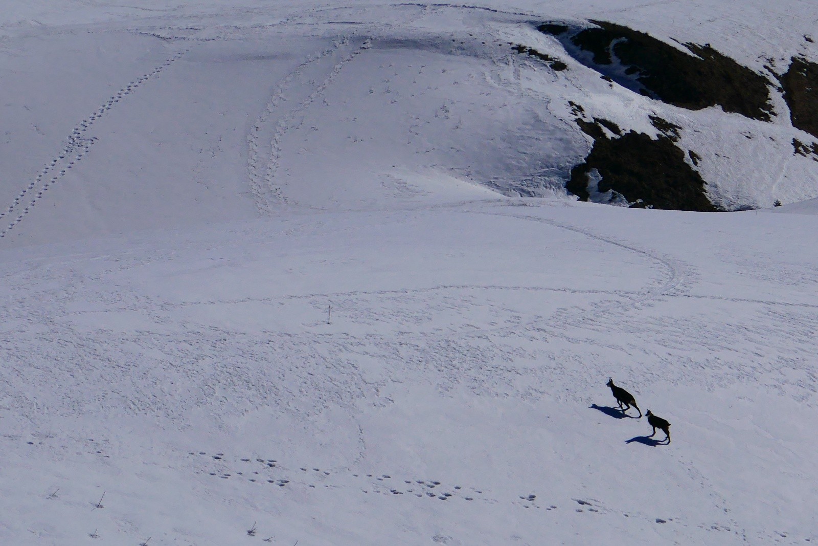 Gardiens du temple...