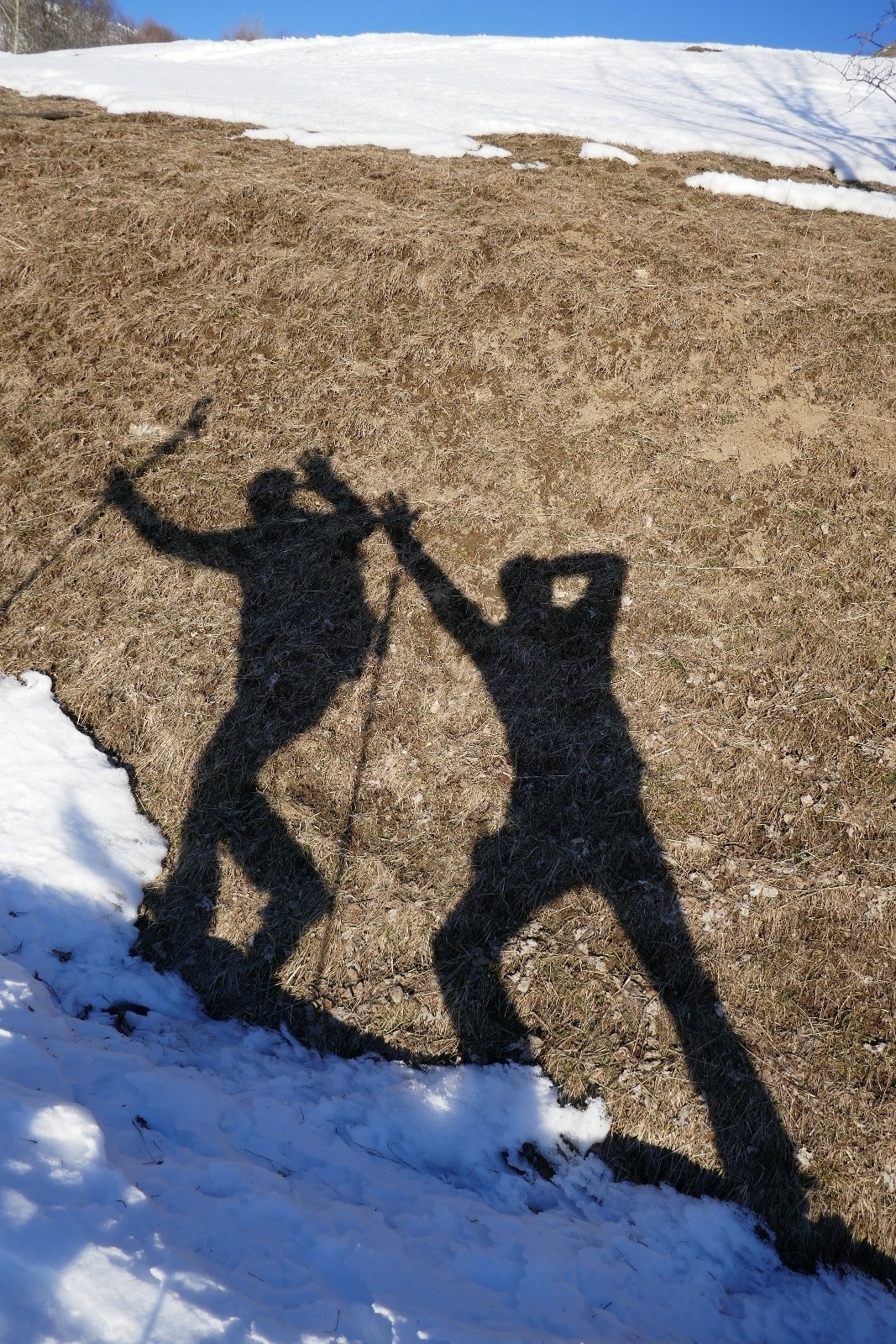 Les zinzins d'Arves...