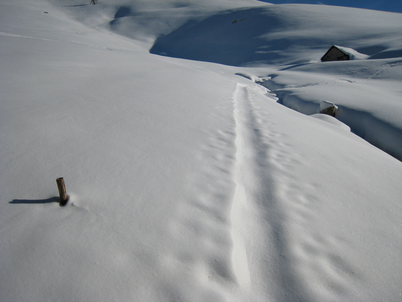 Bergerie Sainte Marie : on suit une ancienne trace