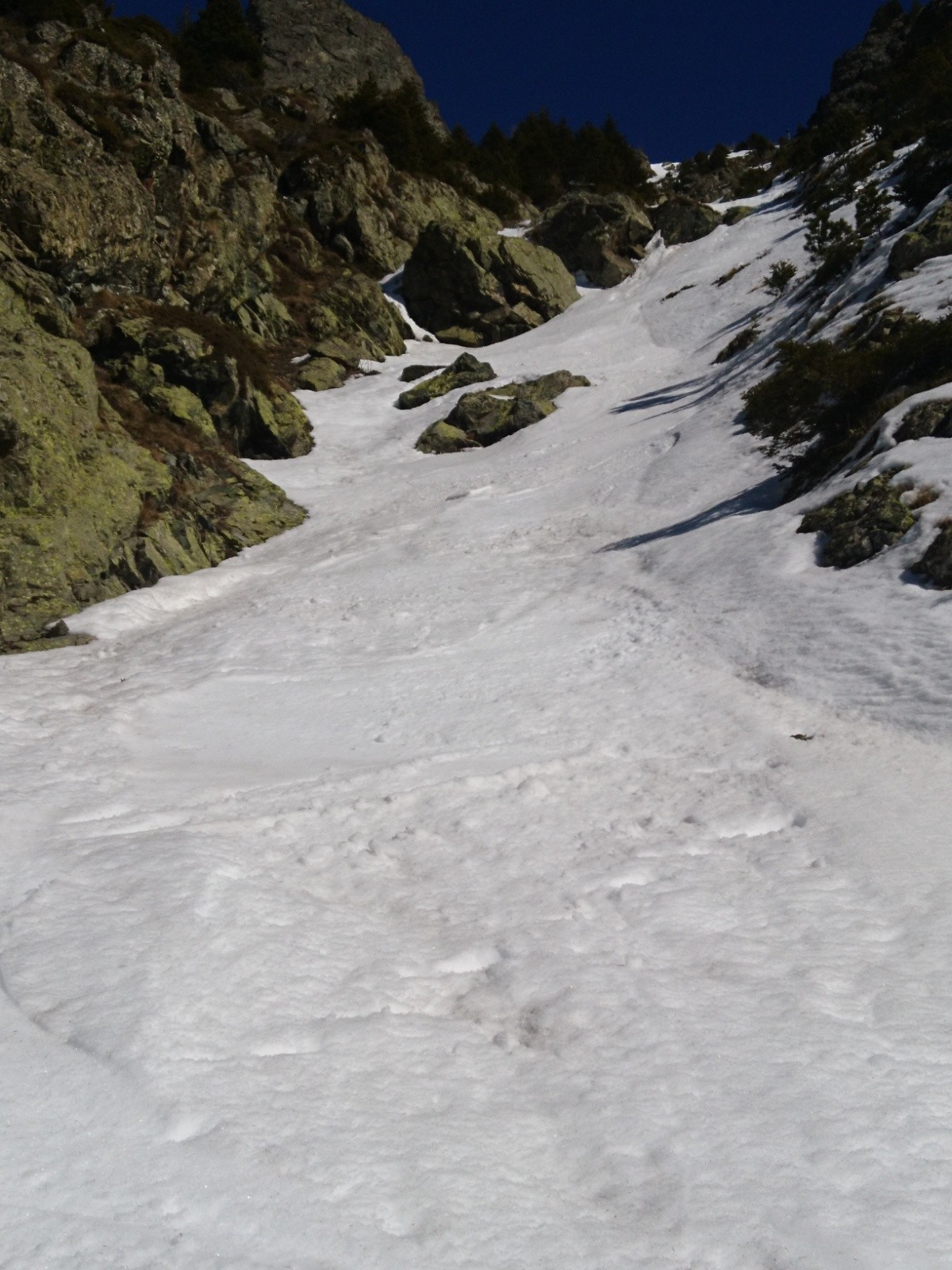 la&nbsp; partie basse 