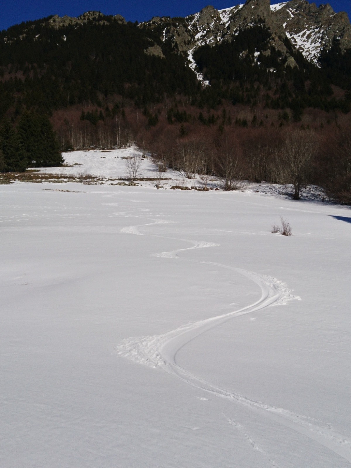 La prairie terminale, après 300m de dénivelé galère en forêt. 