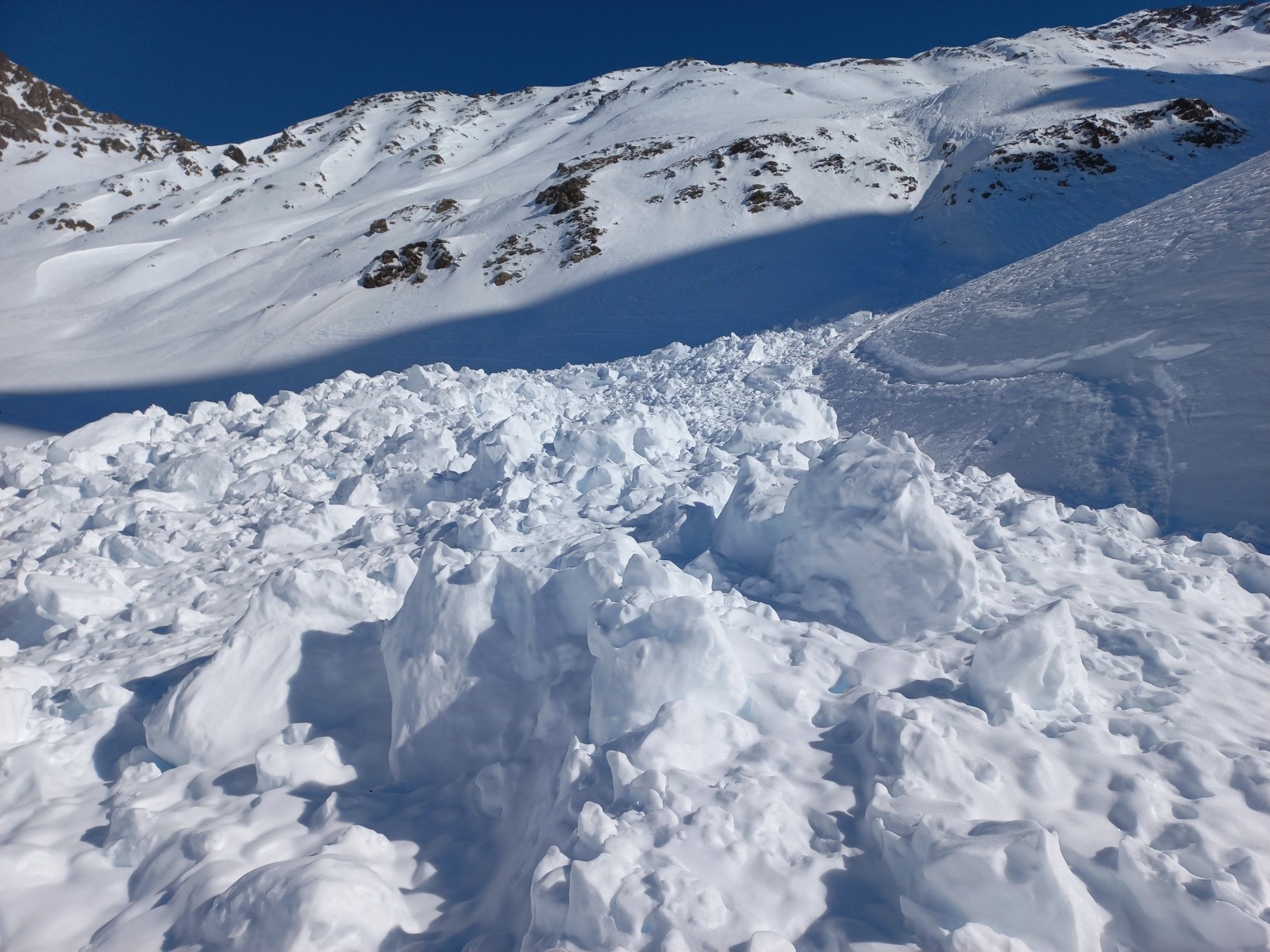 Bas de l'avalanche du Chardonnet