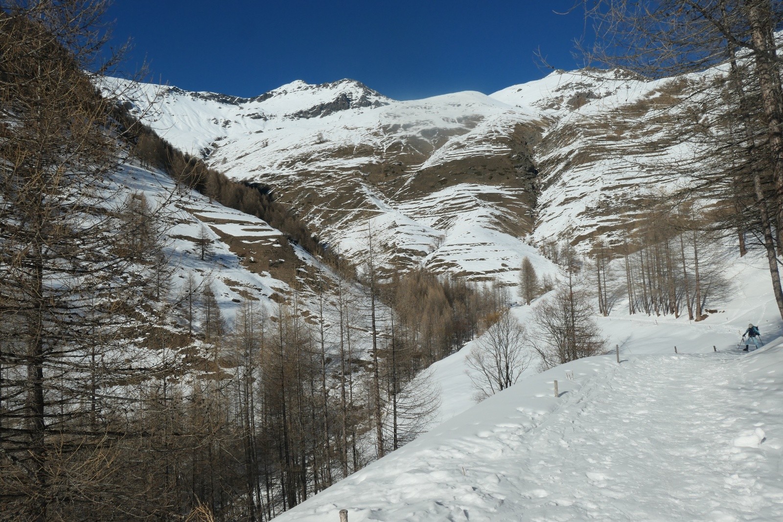 &nbsp;Retour plat !&nbsp;