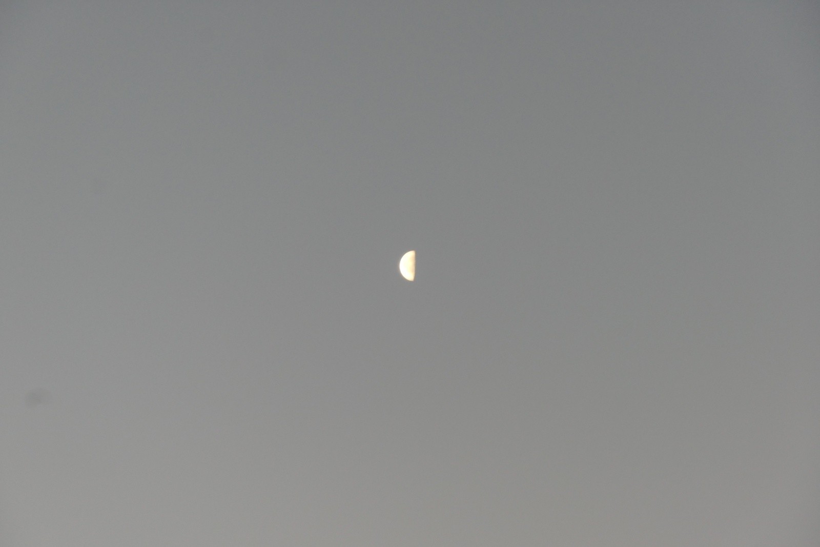 Elle décroît&nbsp;