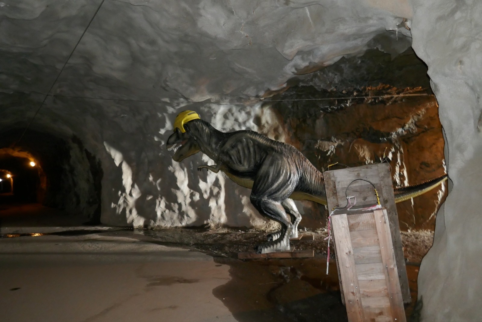 Ben oui, c'est un coin à dinosaures.