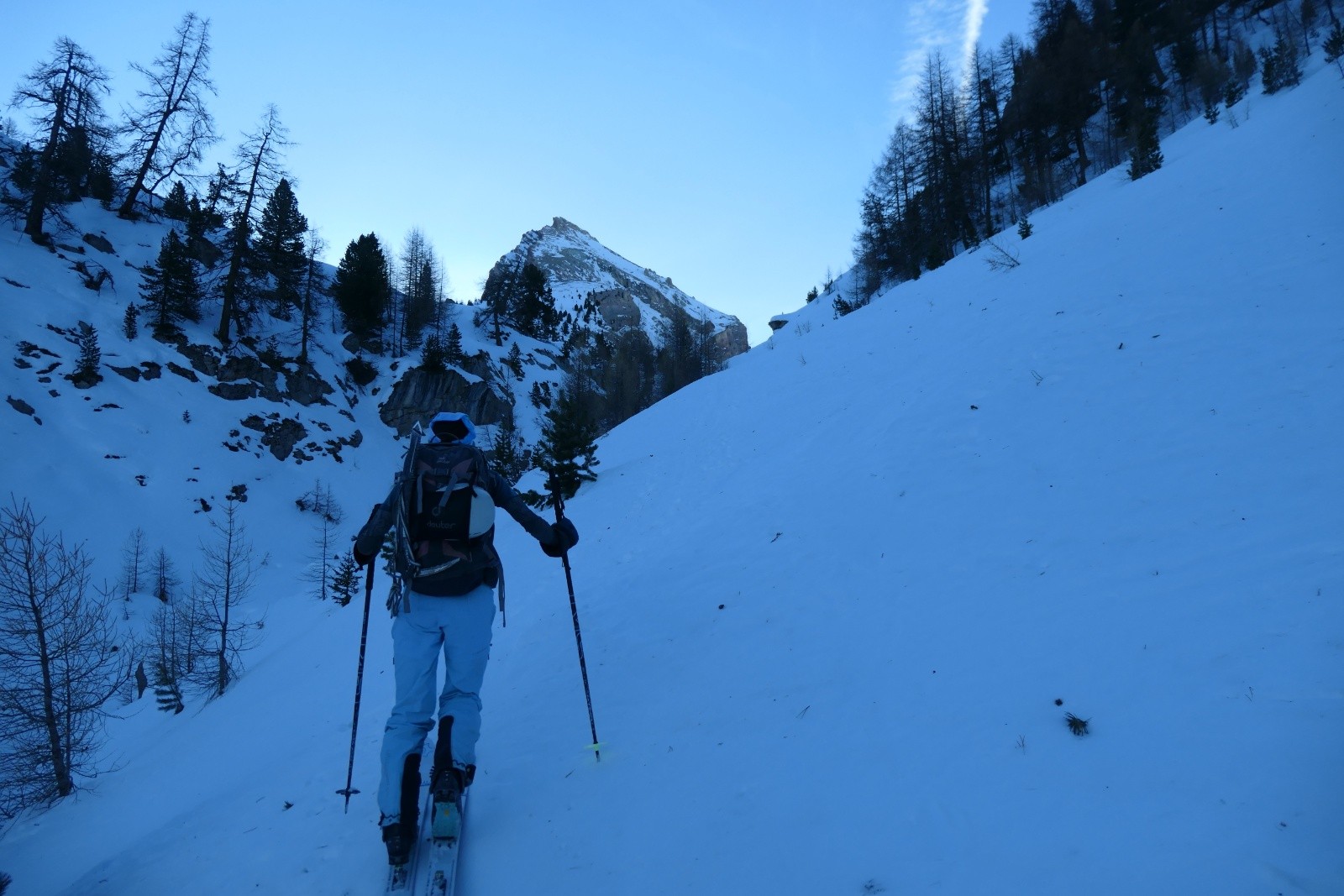Sortie de la forêt&nbsp;