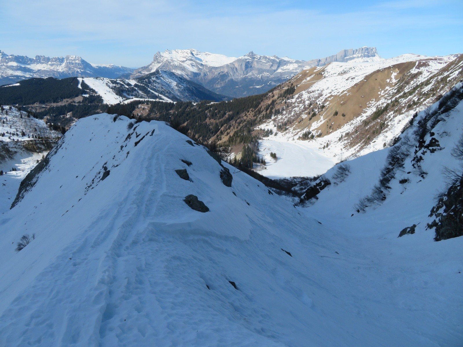 Sommet de la moraine rive D.