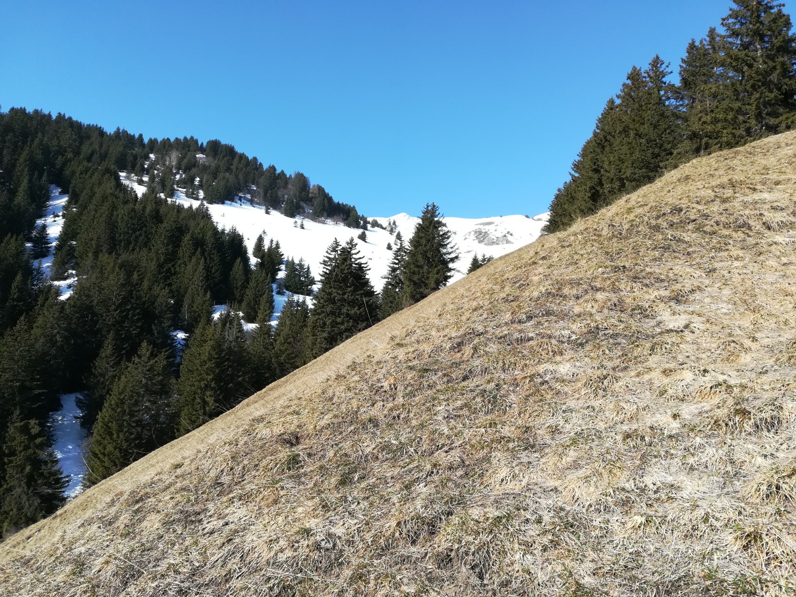 Rive droire du ruisseau de la Pouillouse, ça passe encore en ski.