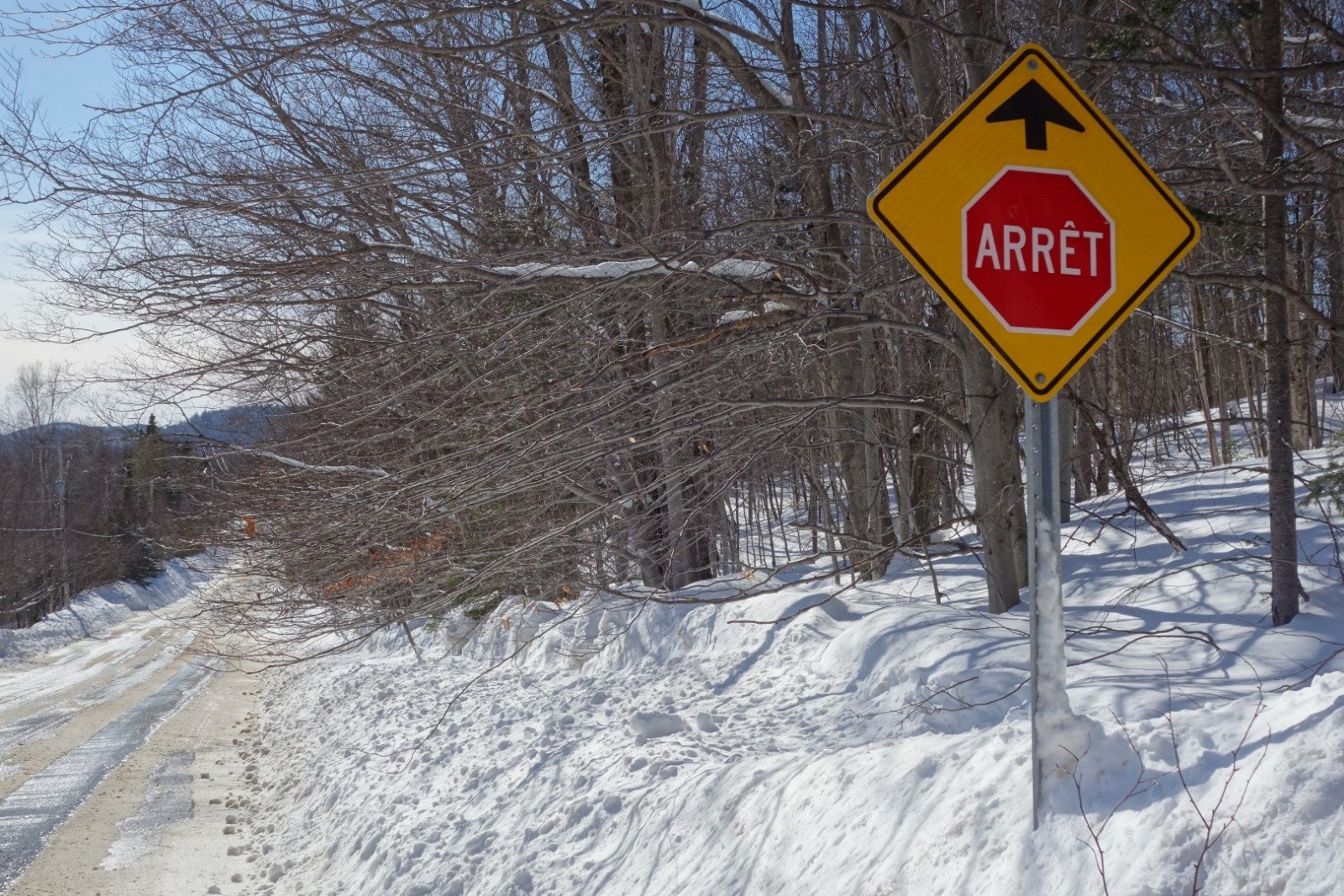 #10 stop aux anglicismes stop aux anglicismes