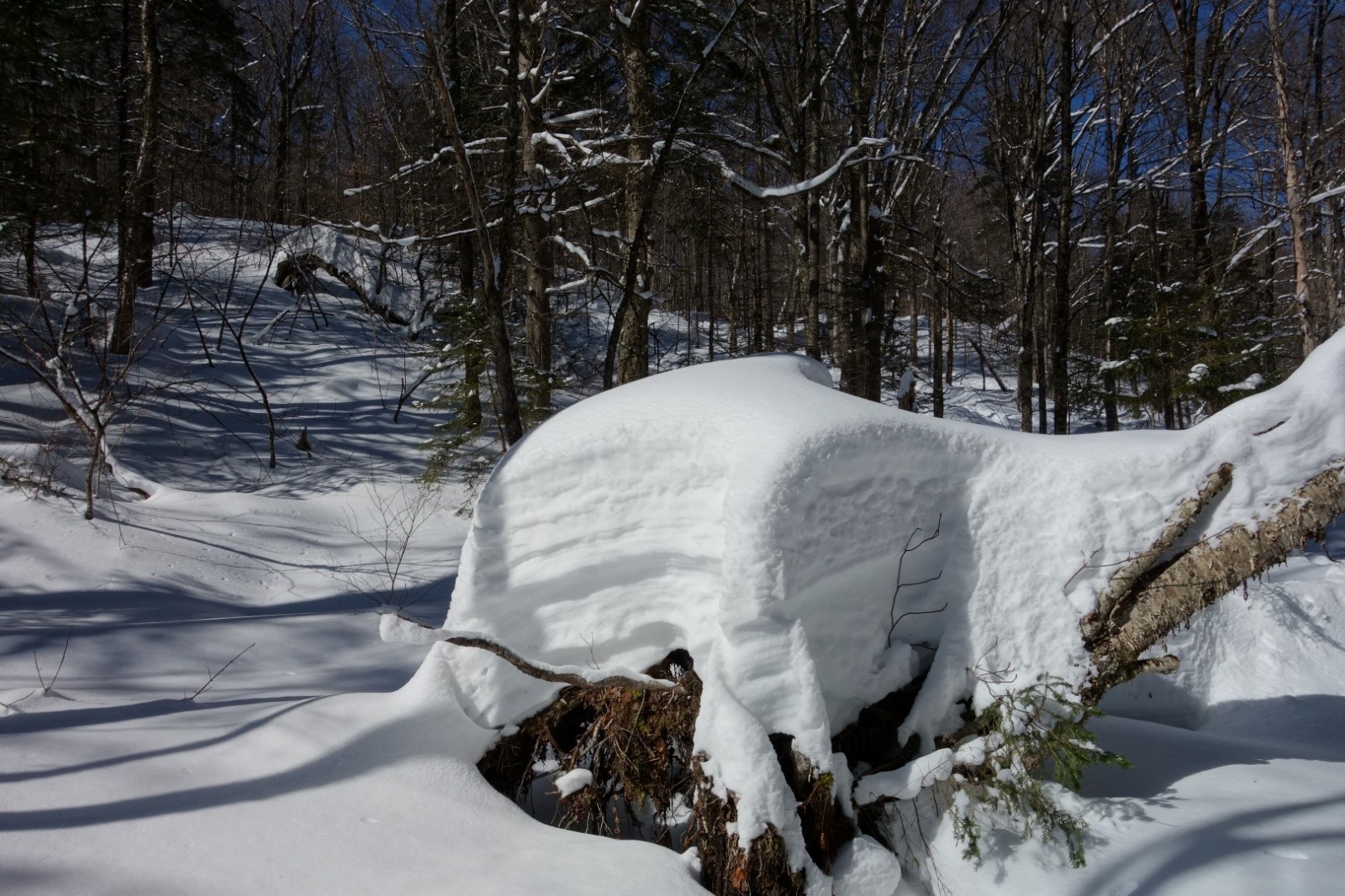 #4 au départ au départ