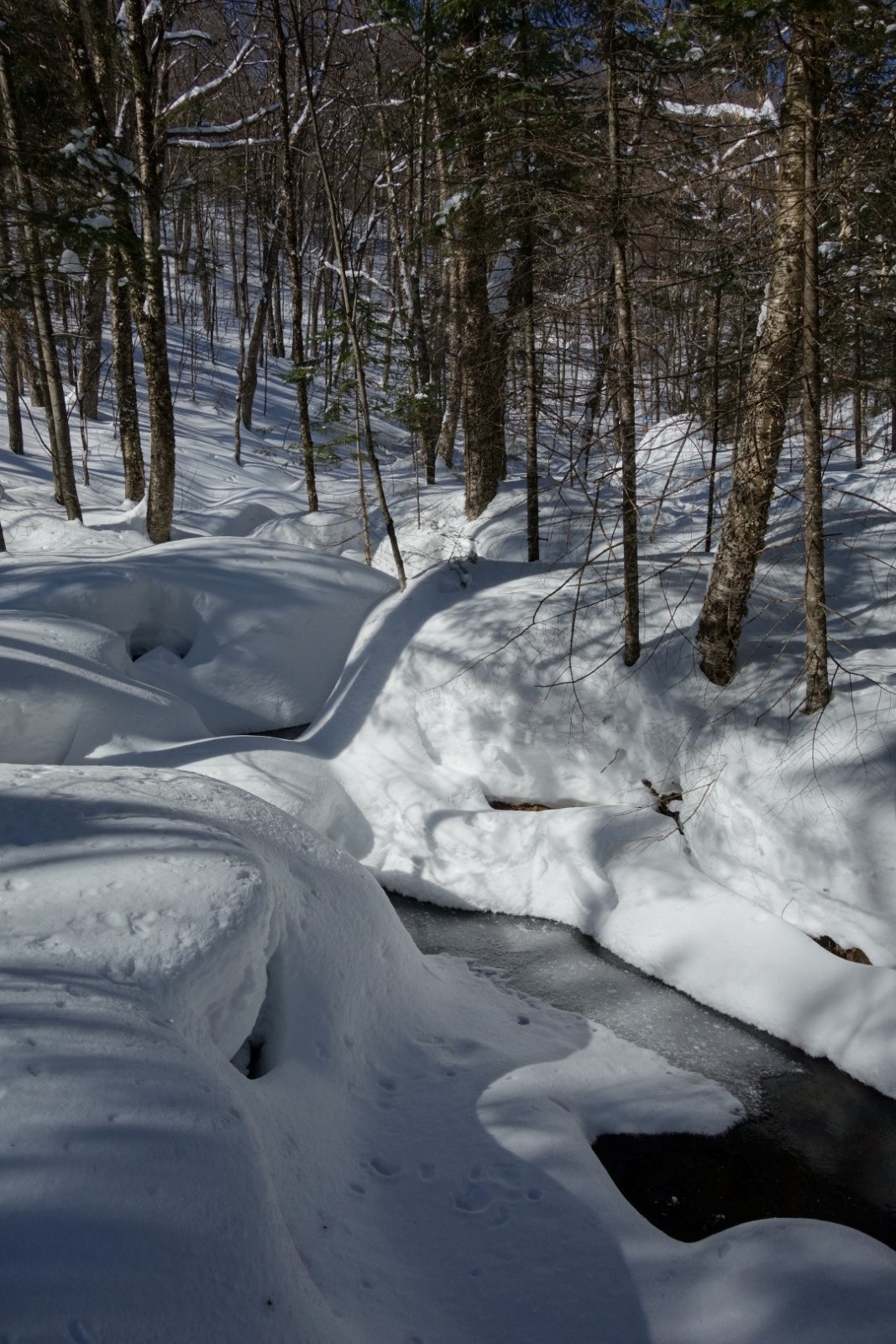 #3 un bon enneigement dès 400 m un bon enneigement dès 400 m