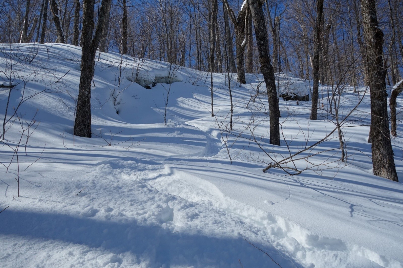 #8 ... à très bon ... à très bon