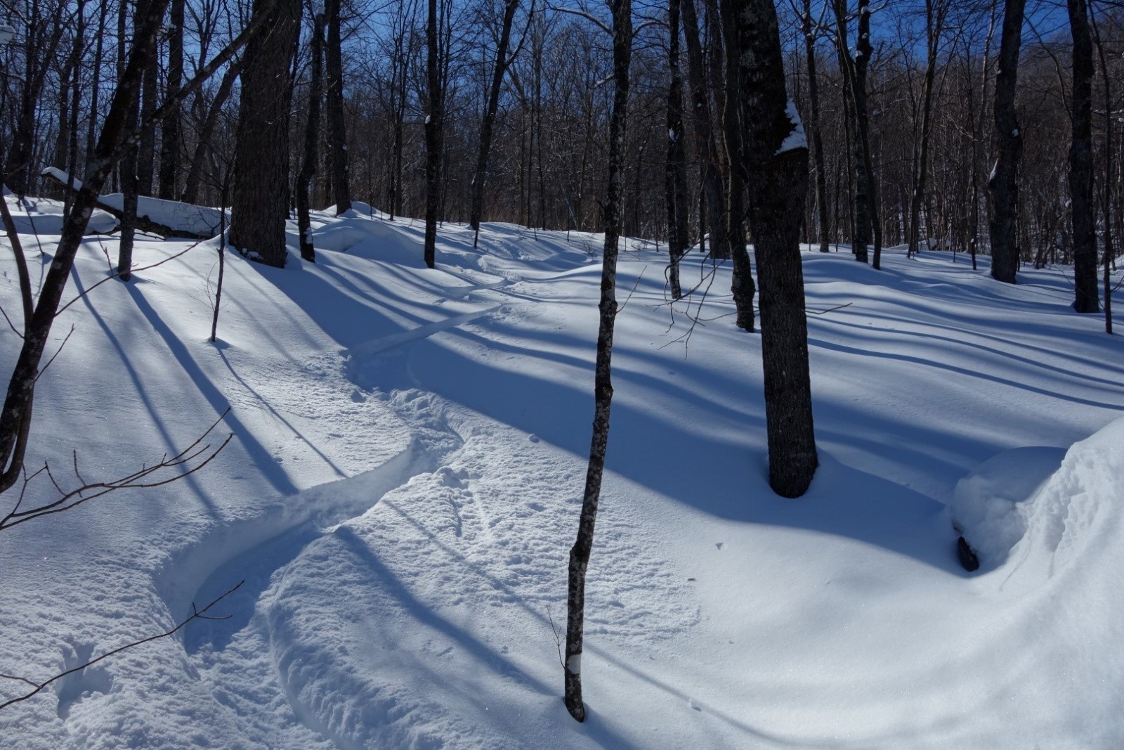 #9 dans la poudrerie dans la poudrerie