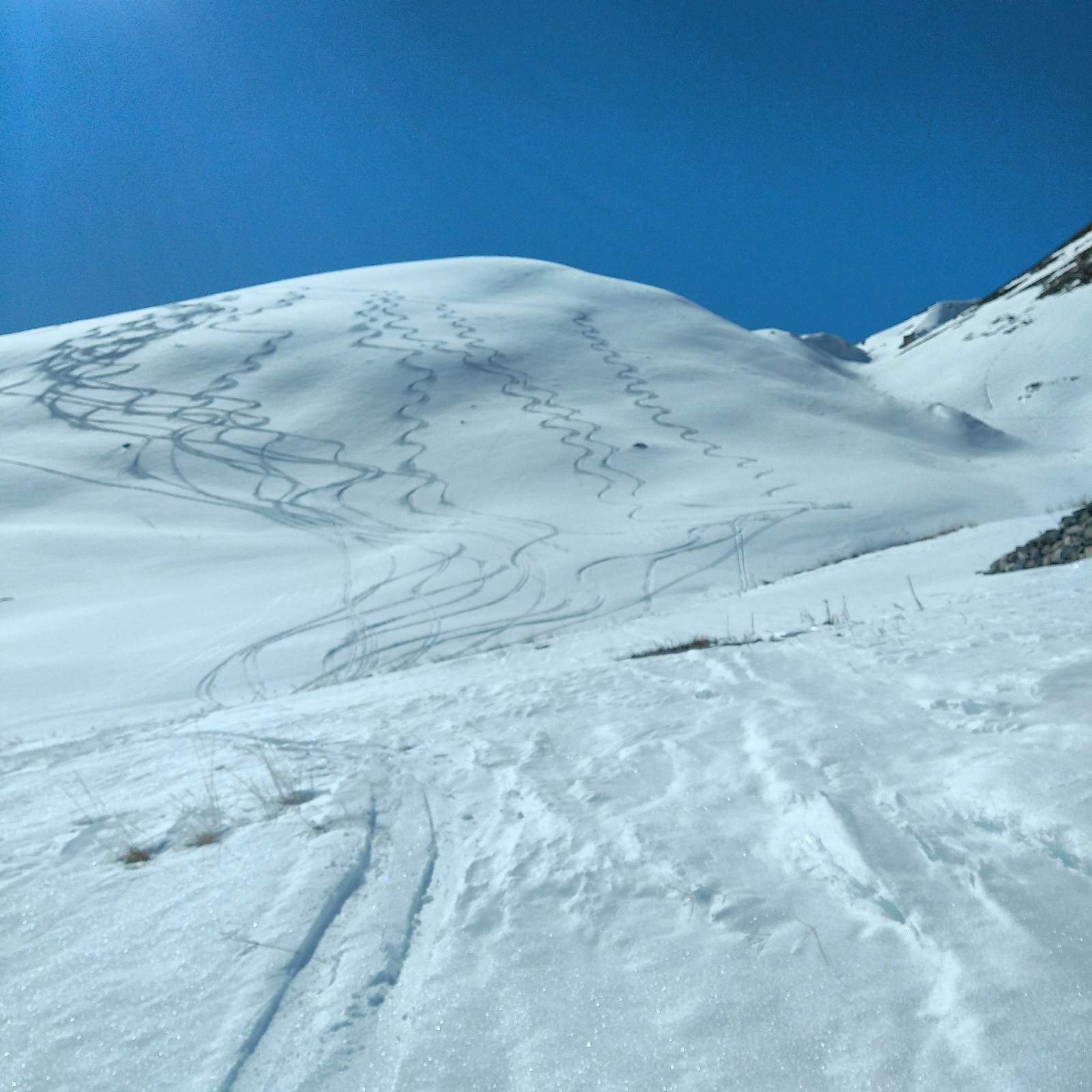&nbsp;Encore de la poudre sous le Mounioz qui est a droite&nbsp;