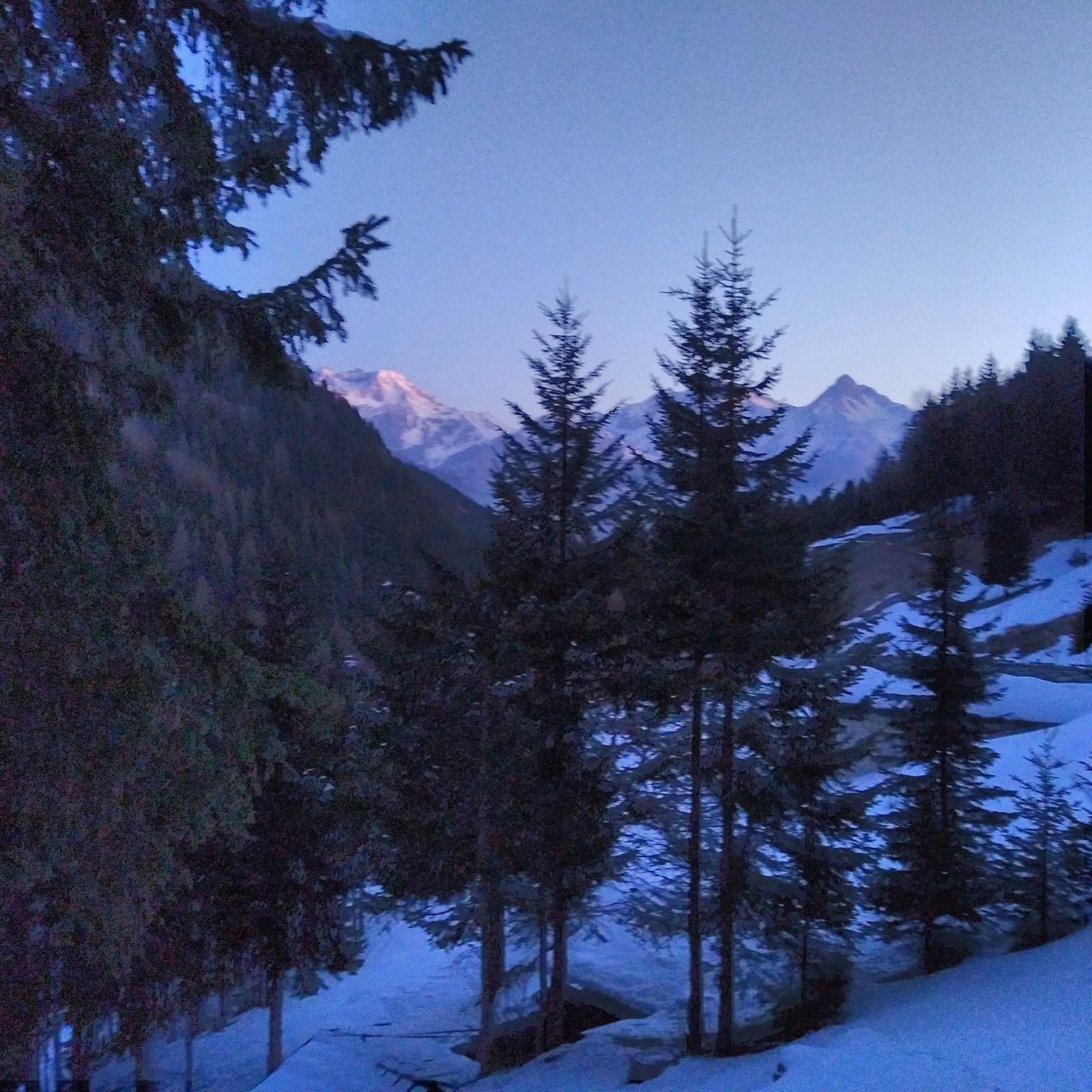 &nbsp;La Vanoise derrière les sapins&nbsp;