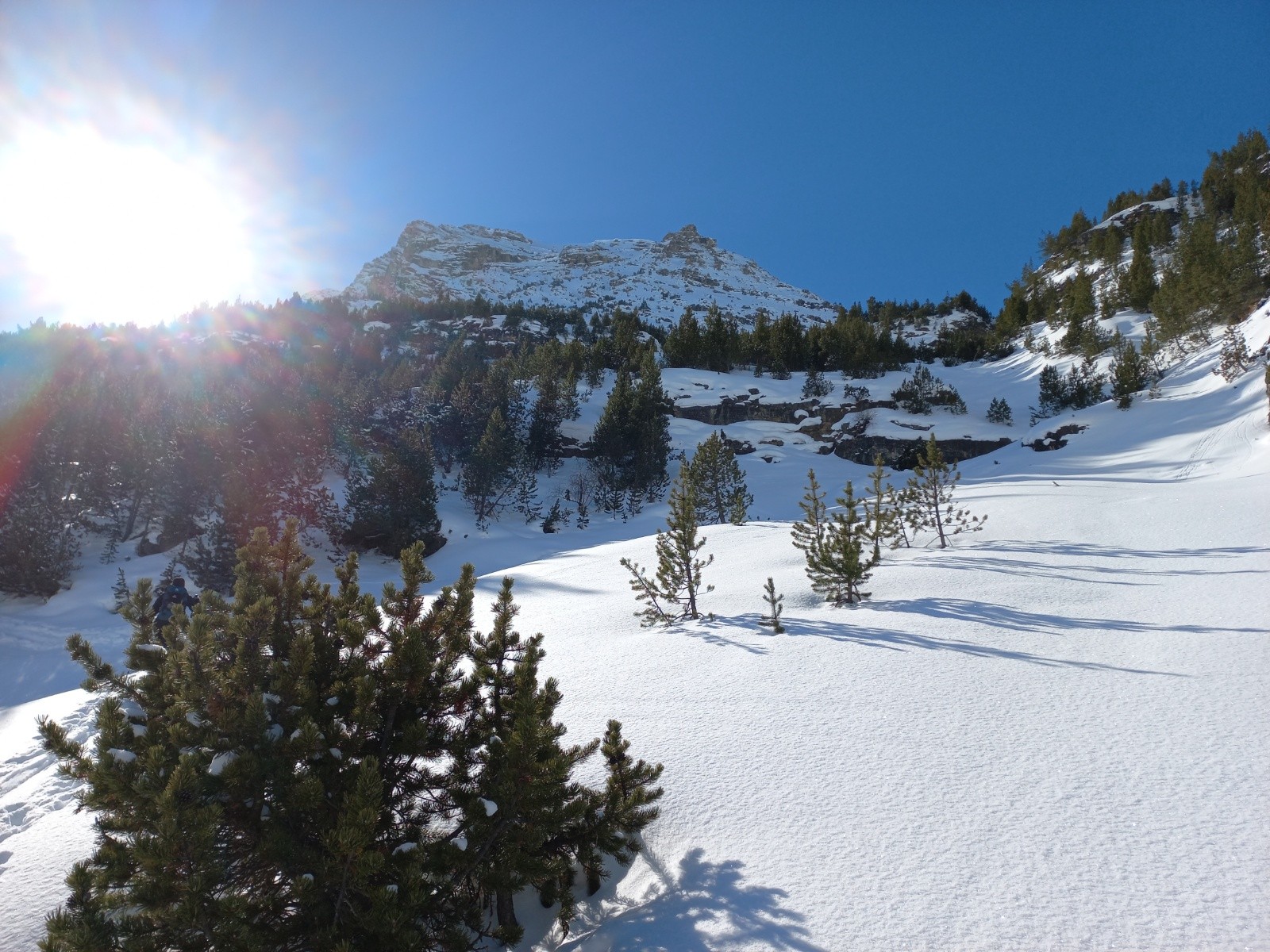  Champ de poudre