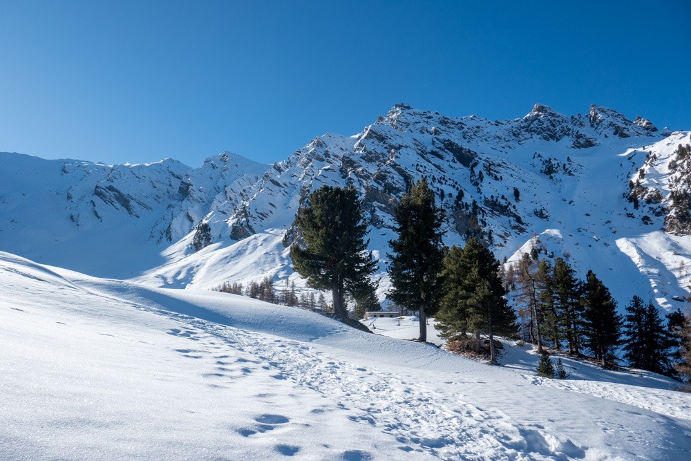 le vallon du Plan