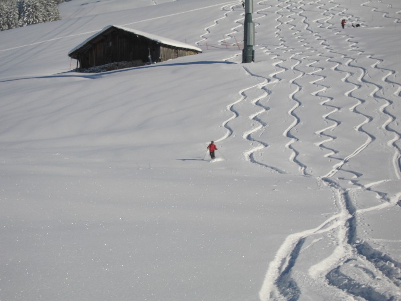 Mont Joux : La godille fluide de notre Guide "Thierry Guinot"