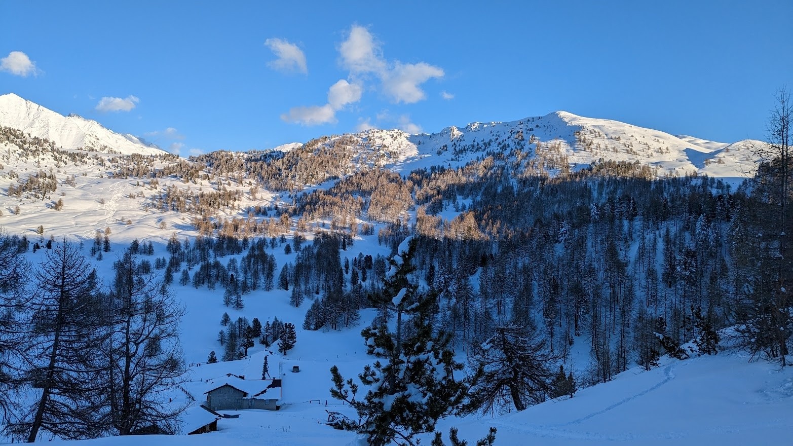 En arrivant au refuge