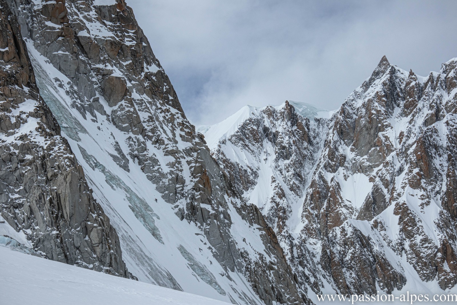 #15 Vous voyez Charlie ? Vous voyez Charlie ?