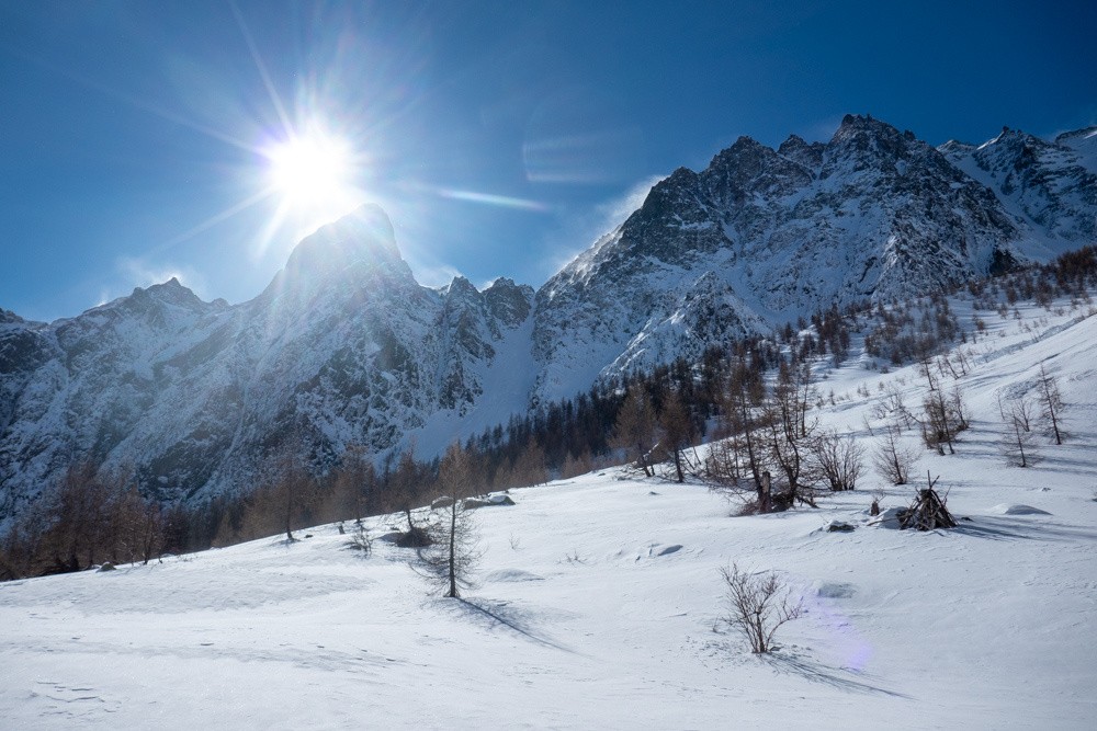 les davins se dÃ©voilent